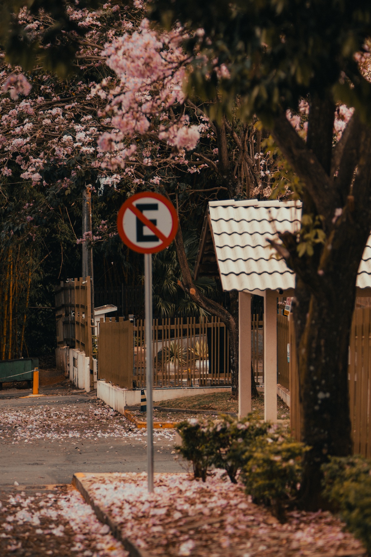 Ensaio de casal em Pirenópolis — foto 17